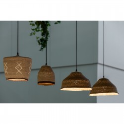 fi_366_9D0A4091-Edit