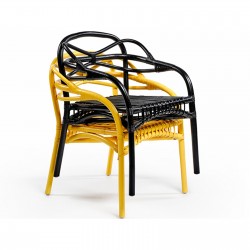 fi_2916_263005-YCARREE