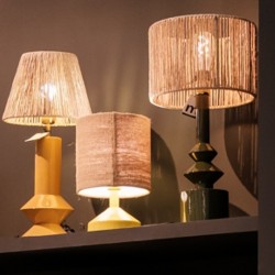 fi_2998_111009-111003-257020