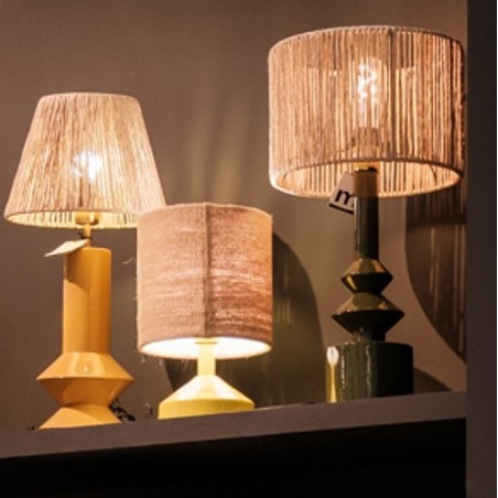 fi_2998_111009-111003-257020