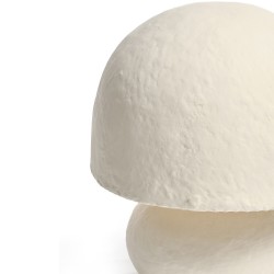 fi_3699_214005-1.2-CARREE