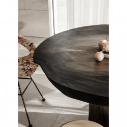 fi_3642_200003-120
